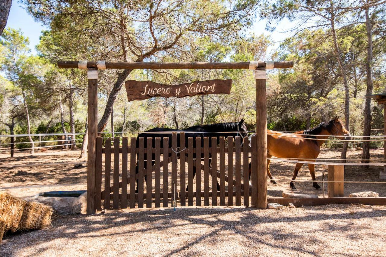 Hostal Cala Boix Es Cana Kültér fotó